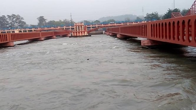 फोटो: सोशल मीडिया 