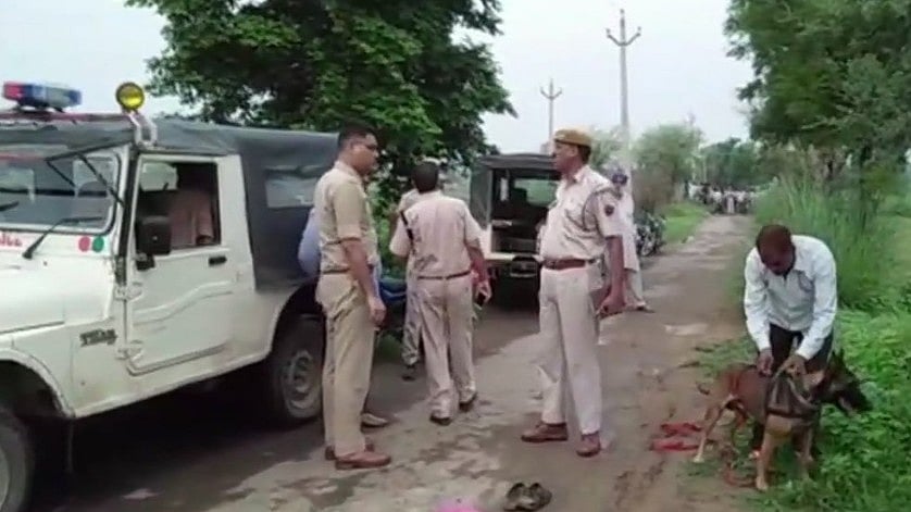फोटो: सोशल मीडिया&nbsp;