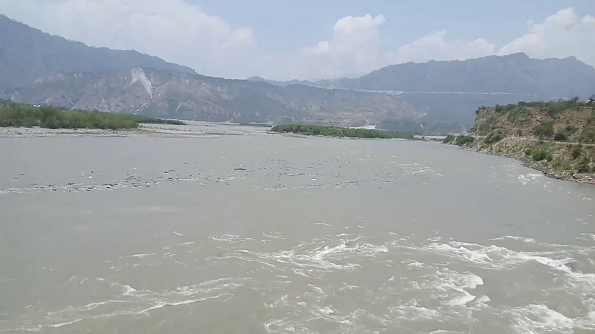 फोटो: सोशल मीडिया&nbsp;