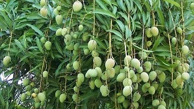 फोटोः सोशल मीडिया