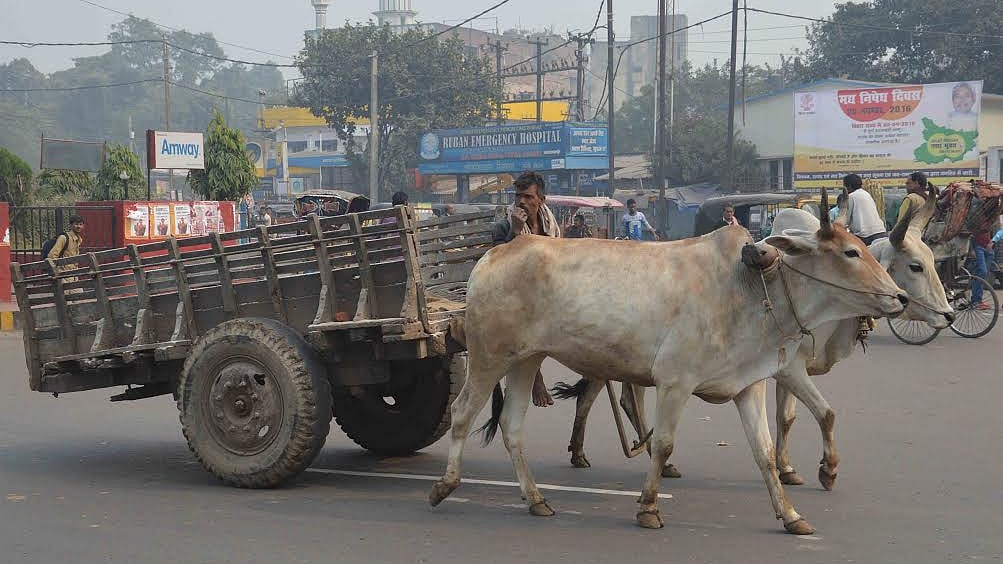 फोटो: सोशल मीडिया