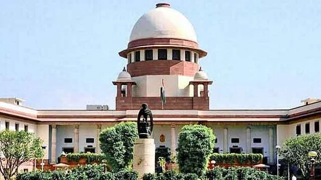 फोटो: सोशल मीडिया&nbsp;