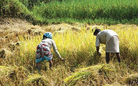 भूमि सुधारों और भूमिहीनों की उपेक्षा से बढ़ता जा रहा है संकट