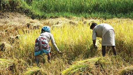 फोटो: सोशल मीडिया