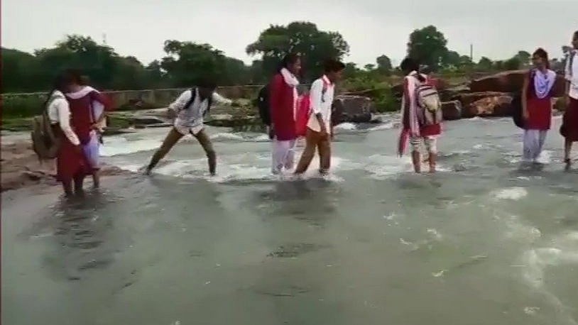 फोटो: सोशल मीडिया 