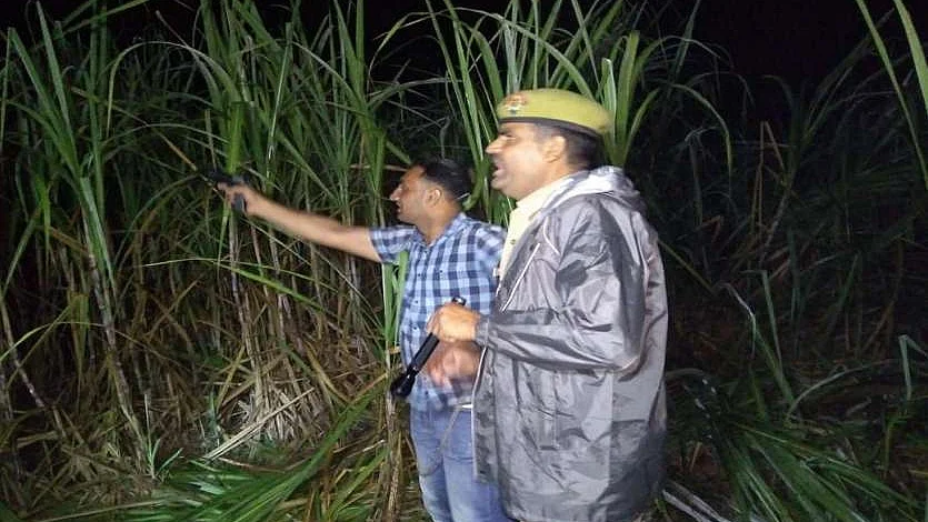 फोटो: सोशल मीडिया 