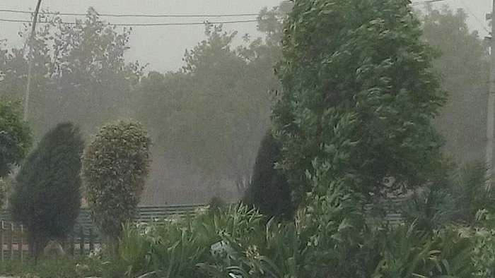 फोटो: सोश मीडिया 