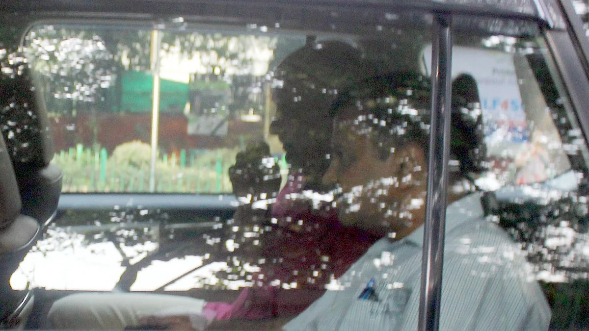 फोटो: बिपिन