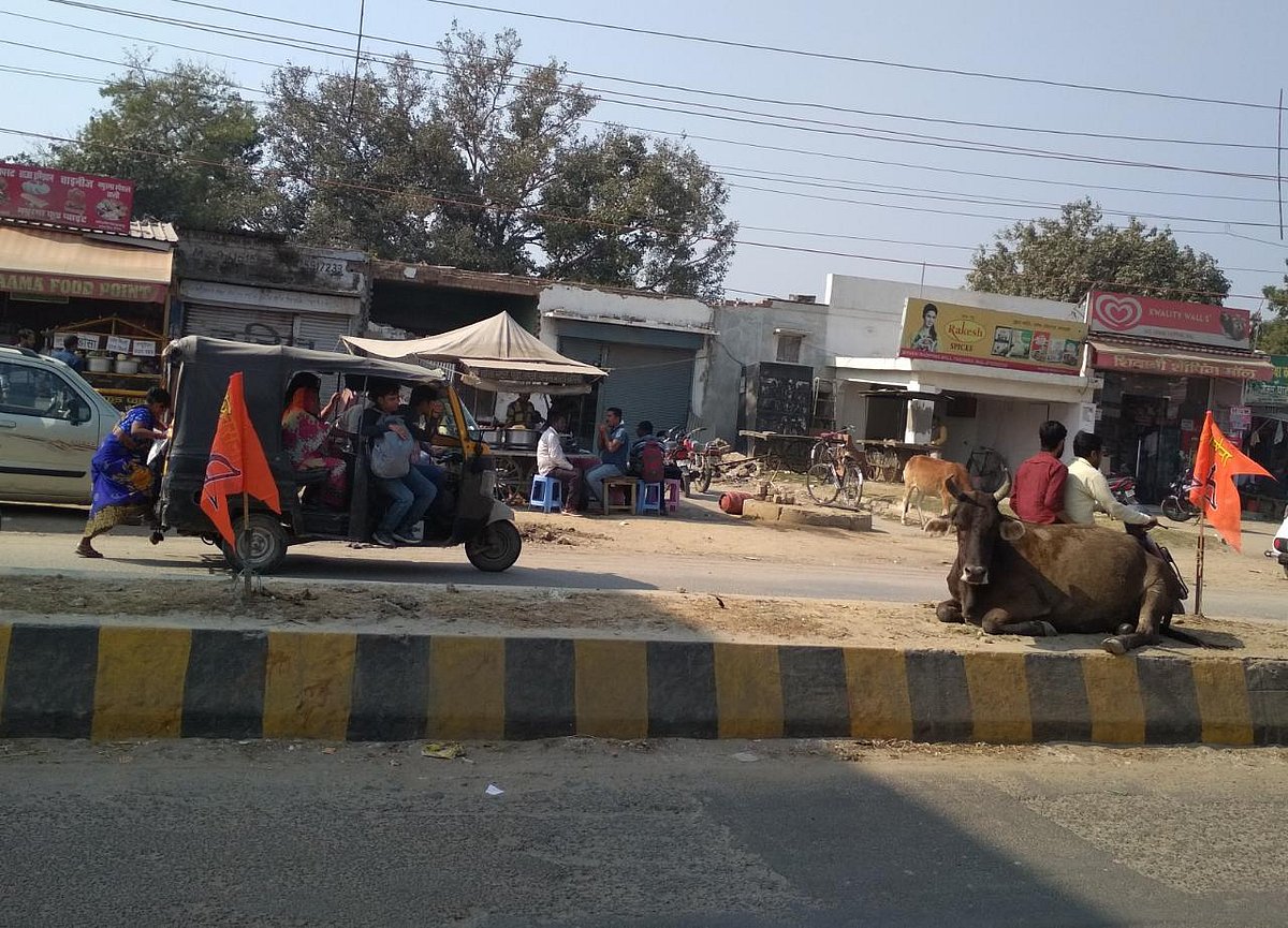 फोटोः विश्वदीपक