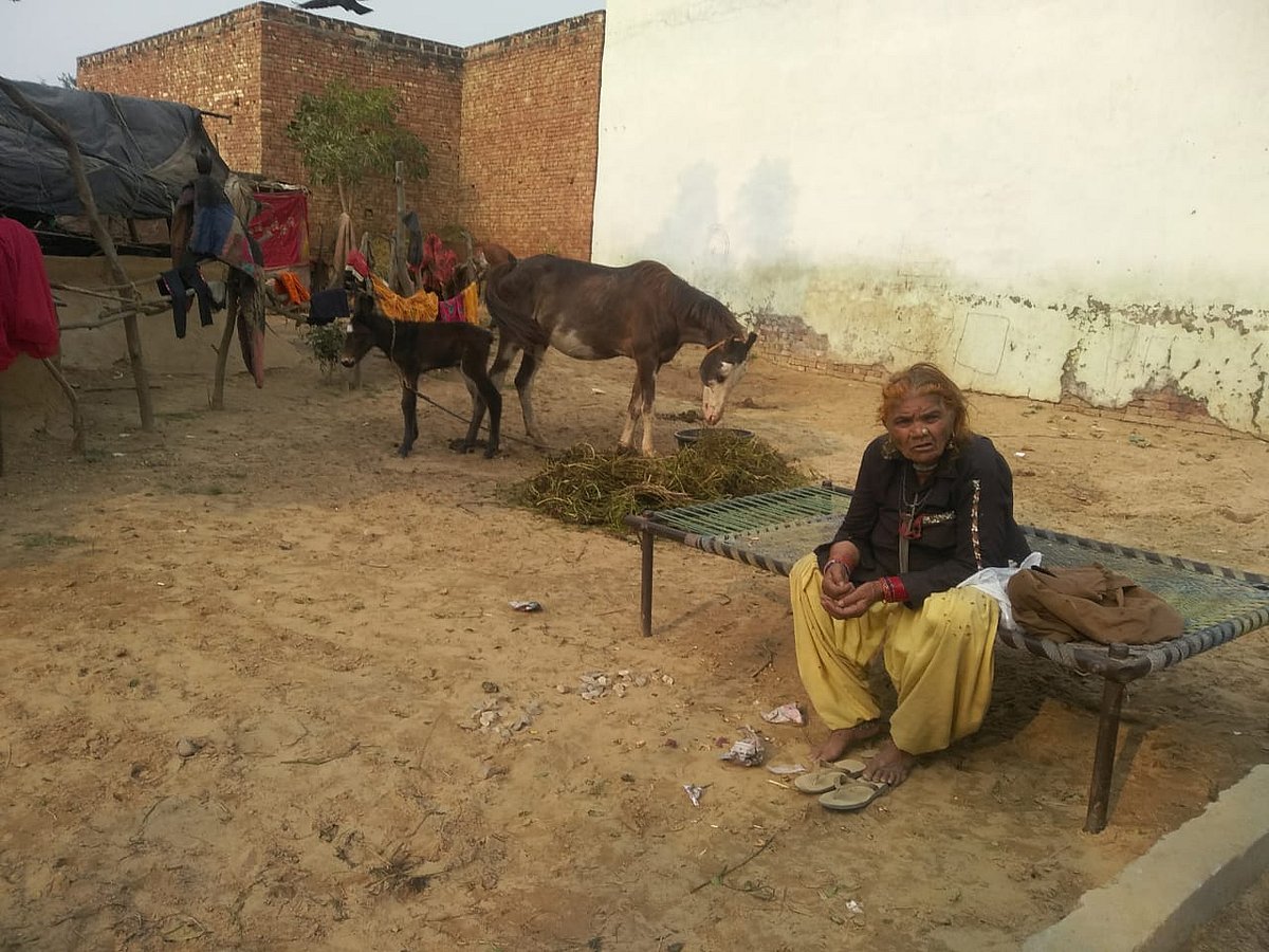 विशेष: नजर बांधने की कला के उस्ताद मदारियों ने अपना काम छोड़ दिया, हुनर नहीं