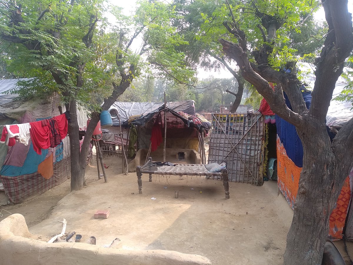 विशेष: नजर बांधने की कला के उस्ताद मदारियों ने अपना काम छोड़ दिया, हुनर नहीं