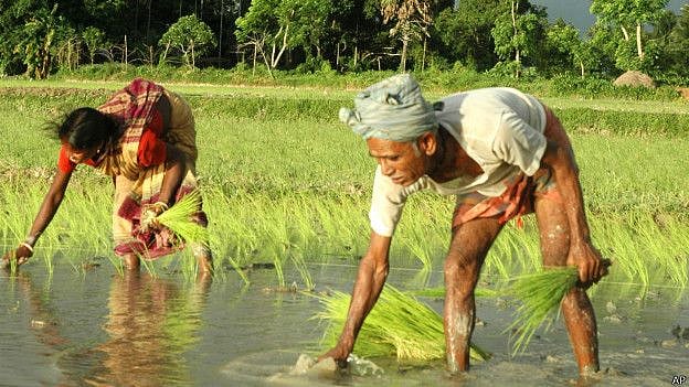सबसे मेहनती और जरूरतमंद होते हुए भी सबसे उपेक्षित हैं ग्रामीण भूमिहीन, उनकी आवाज सुनना बहुत जरूरी है