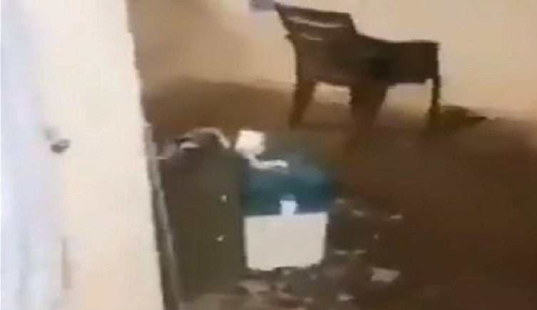 राजस्थान में घरों-सड़कों पर मिल रही हैं ईवीएम, पाली में बीजेपी विधायक के मोहल्ले में मिली तो कराई उल्टी एफआईआर