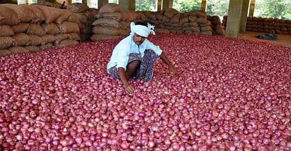 वीडियो: मोदी सरकार में किसान बेहाल, नासिक में 750 किलो प्याज बेचने से मिले 1064 रुपए