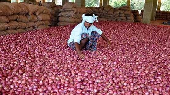 फोटो: सोशल मीडिया&nbsp;