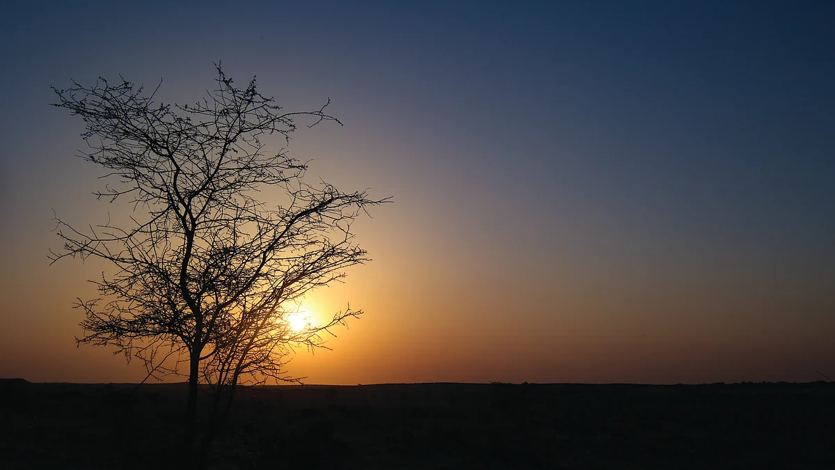 फोटो : Getty Images