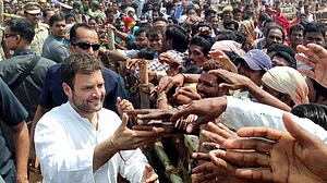 सिर्फ हिंदी भाषी राज्य ही नहीं जीते राहुल गांधी, ट्विटर पर भी 6 महीने में बढ़े 10 लाख फॉलोअर