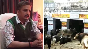 उत्तर प्रदेश: अलीगढ़ में गौरक्षकों की गुंडागर्दी, गायों को गौशाला ले जा रही प्रशासन की टीम पर किया हमला