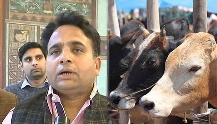 बुलंदशहर हिंसा: बीजेपी विधायक को दारोगा की मौत से ज्यादा गायों की चिंता, बोले- गोकशी की नहीं हो रही बात