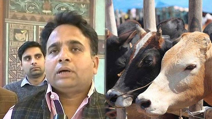 फोटो: सोशल मीडिया&nbsp;