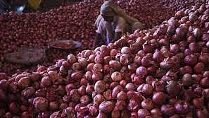 फोटो:सोशल मीडिया&nbsp;