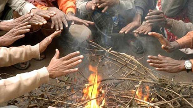 फोटो: सोशल मीडिया&nbsp;