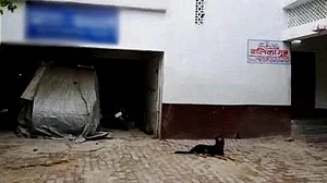 मुजफ्फरपुर कांड: नगर निगम ध्वस्त करेगा शेल्टर होम, सुप्रीम कोर्ट ने कार्रवाई पर रोक लगाने से किया था इनकार