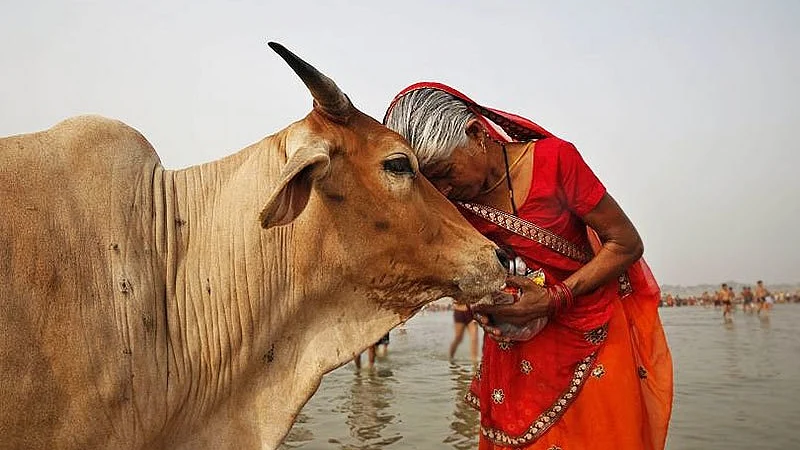 फोटो: सोशल मीडिया 