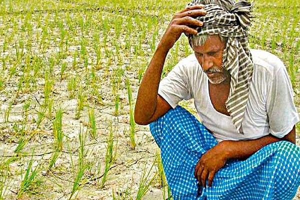 फसल बीमा के नाम पर प्राइवेट बीमा कंपनियां कमा रही मोटा मुनाफा, एक साल में बना लिए 3000 करोड़