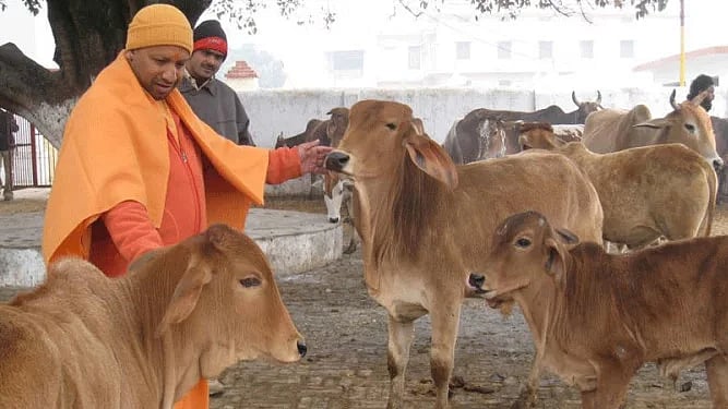 फोटो: सोशल मीडिया