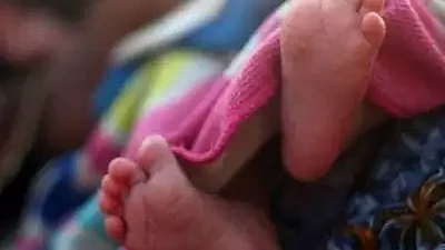 फोटो: सोशल मीडिया 
