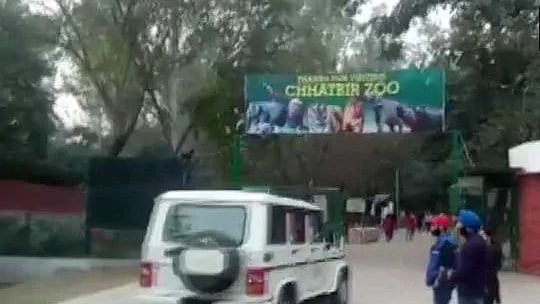 फोटो: सोशल मीडिया 