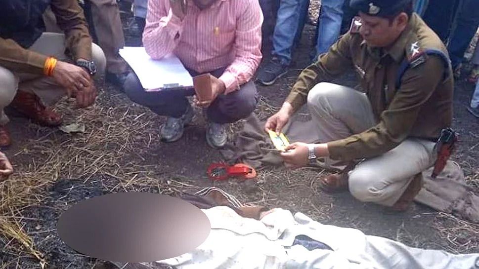 फोटो: सोशल मीडिया&nbsp;