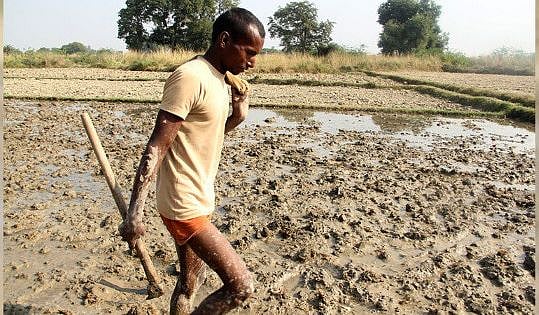 पीएम मोदी के किसान सम्मान पर सवाल, 6 साल में बेरोजगार हो गए 3 करोड़ खेतिहर मजदूर