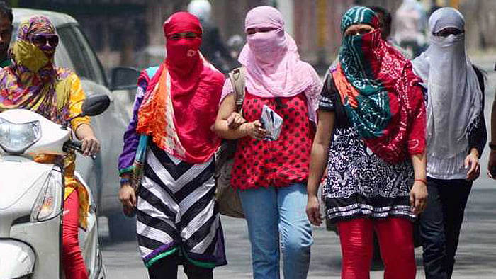 फोटो: सोशल मीडिया