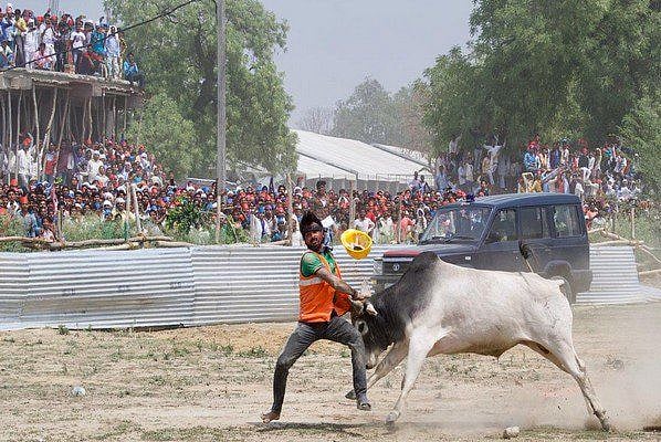 वीडियो: कन्नौज रैली में घुसा सांड, अखिलेश बोले- योगी ‘सांड’ को नहीं रोक पा रहे, तो किसानों का क्या हाल होगा  