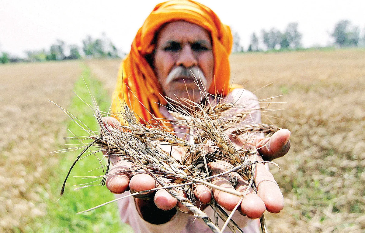 मोदी सरकार के पांच साल में खेती-किसानी के सामने खड़ा हुआ सबसे बड़ा संकट