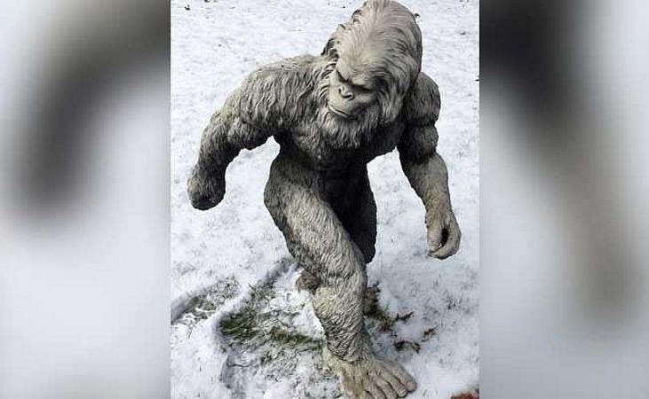 हिमालय में दिखा हिममानव! भारतीय सेना ने शेयर की तस्वीरें 