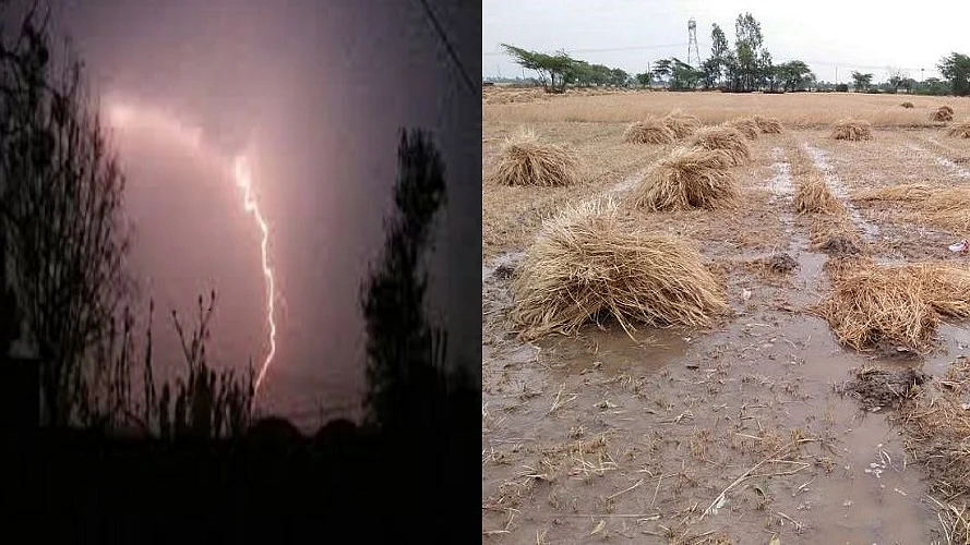 फोटोः सोशल मीडिया