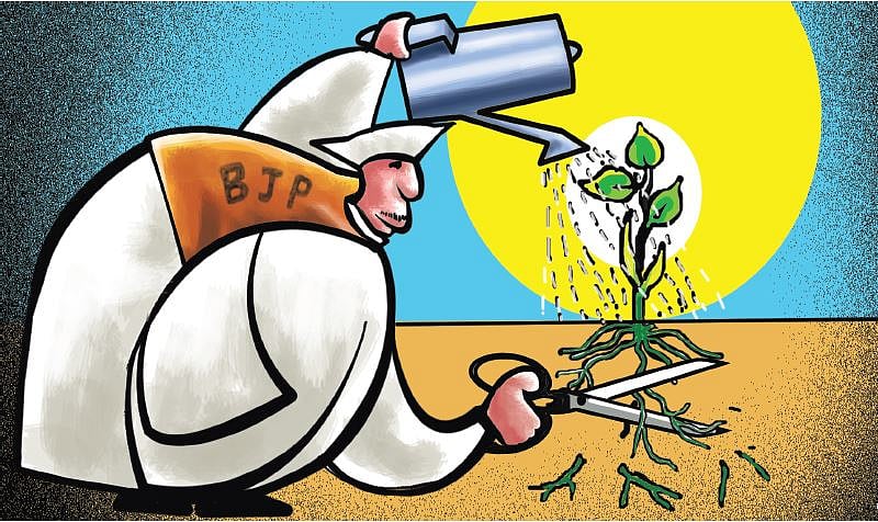 मृणाल पांडे का लेखः बालकनी के गमलों में उगा जुमलों का पर्दा हटेगा तभी बच सकेगा लोकतंत्र