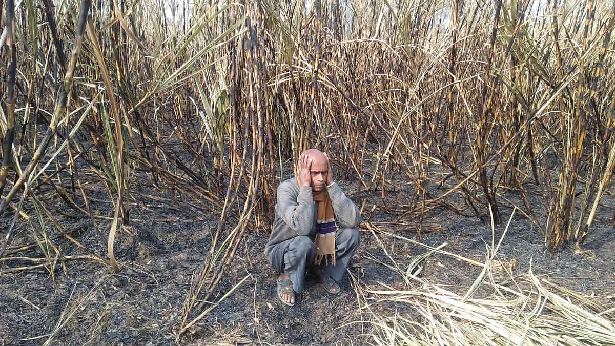 फोटो: सोशल मीडिया