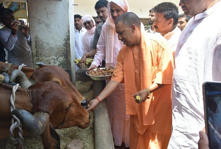 चुनाव आयोग के प्रतिबन्ध के बावजूद मंदिरों और दलितों के घरों में घूम रहे योगी आदित्यनाथ