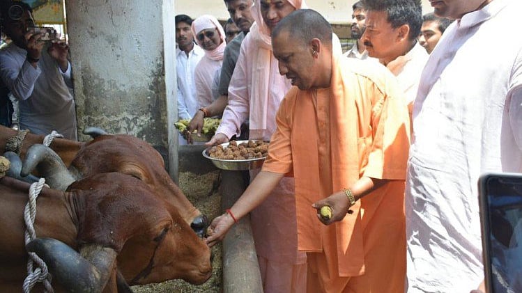फोटो: सोशल मीडिया