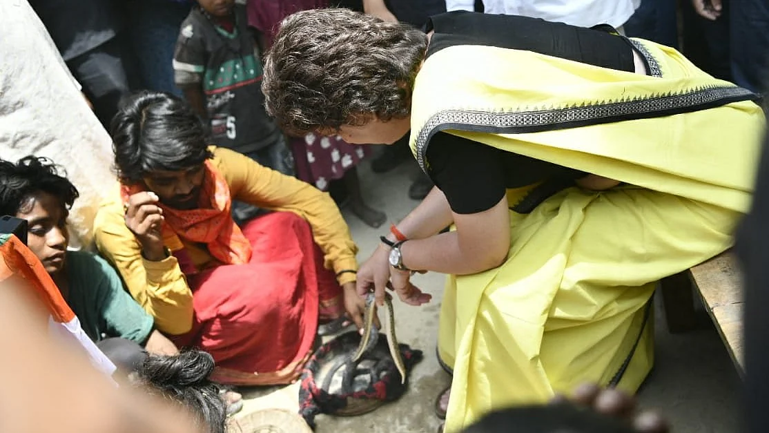फोटो: सोशल मीडिया