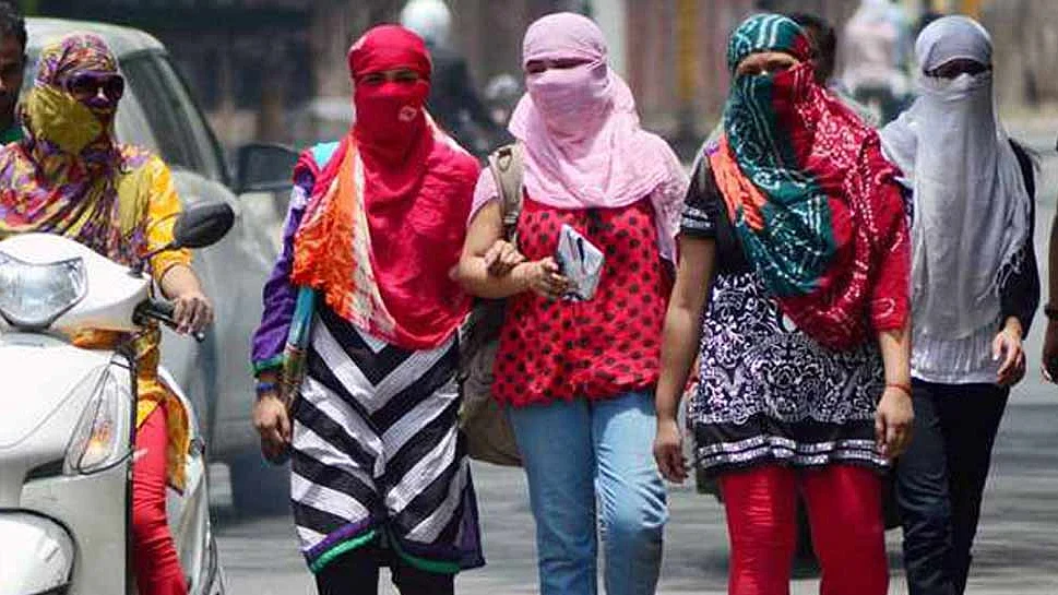 फोटो: सोशल मीडिया 