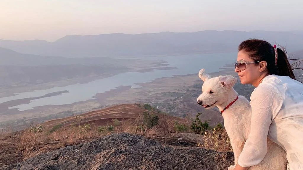 फोटो: सोशल मीडिया