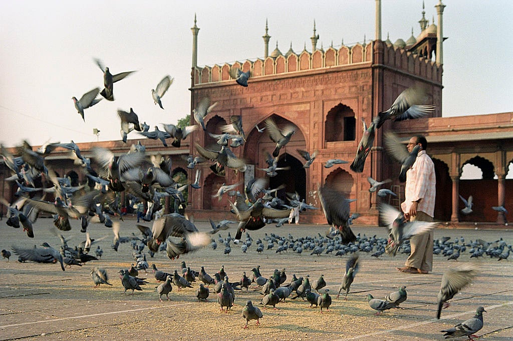 दिल्ली के मुस्लिम इलाकों में ज्यादा मतदान से चिंता में बीजेपी-आप, कांग्रेस को जीत का भरोसा 