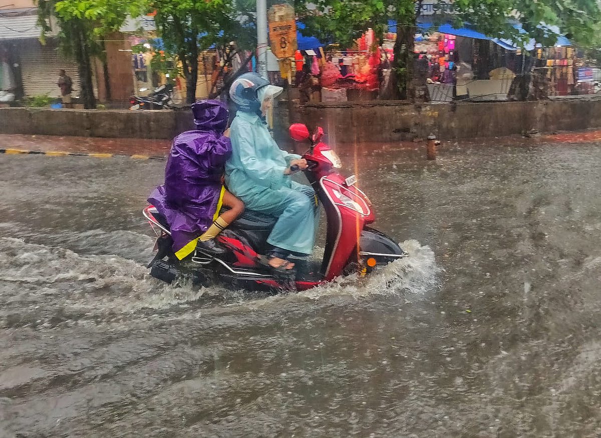 फोटो: सोशल मीडिया