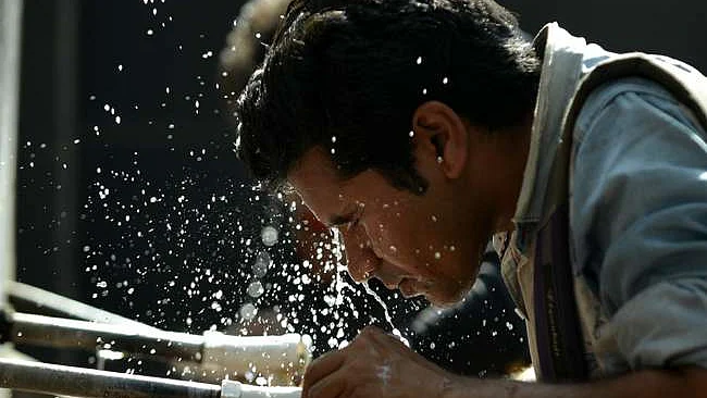 फोटो: सोशल मीडिया&nbsp;