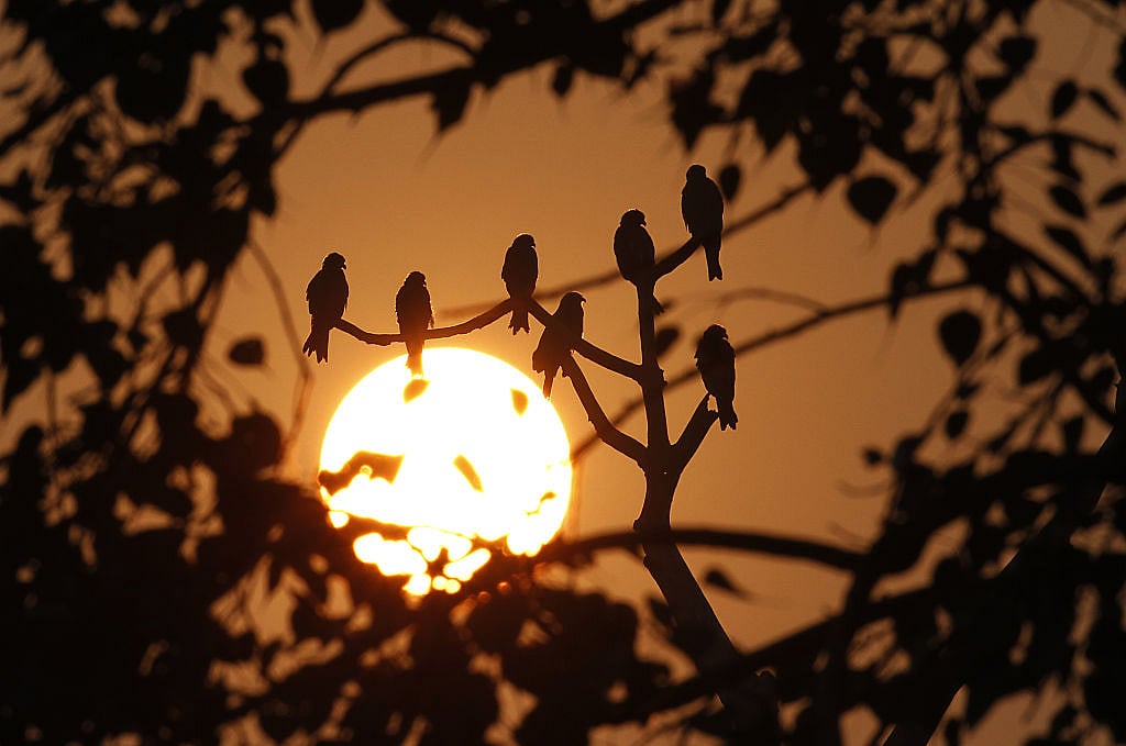 मैं उदास हूं, क्या इतनी नफरत इतनी हिंसा हमारे समाज में पहले से थी, क्या हम कभी अपने ही समाज को समझ नहीं पाए?